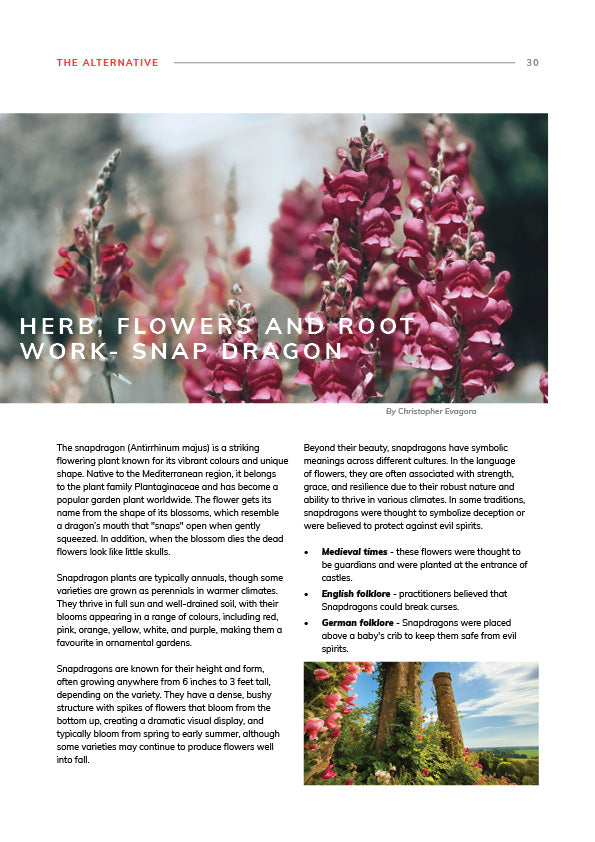 The Alternative Magazine Issue 1 (Printed A4 Edition)